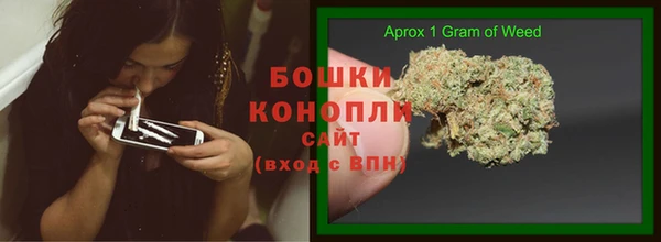 гашик Вязники